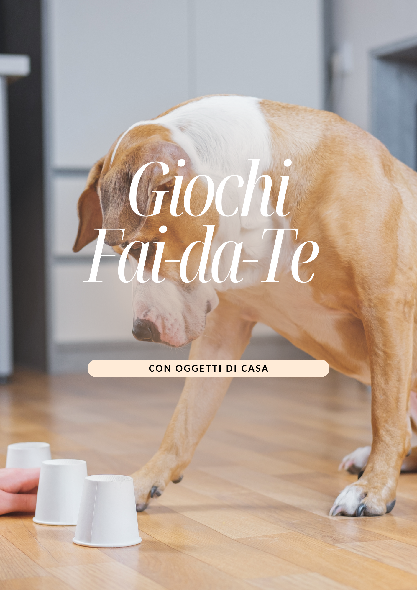 Digital DIY dog toy kit from Casa Serena, featuring colorful materials for creating fun and engaging toys for dogs.