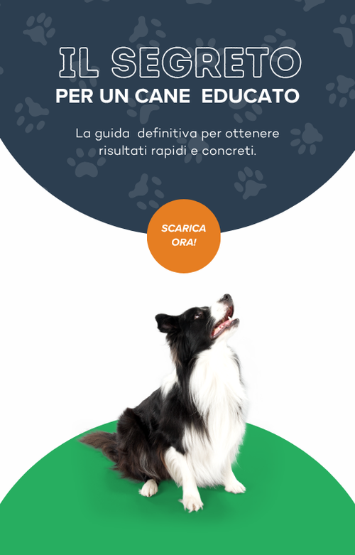 Guide to a calm dog by Casa Serena showing tips for training and behavior for a well-behaved, calm canine.