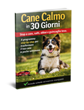 Cane Calmo in 30 Giorni - Casa serena